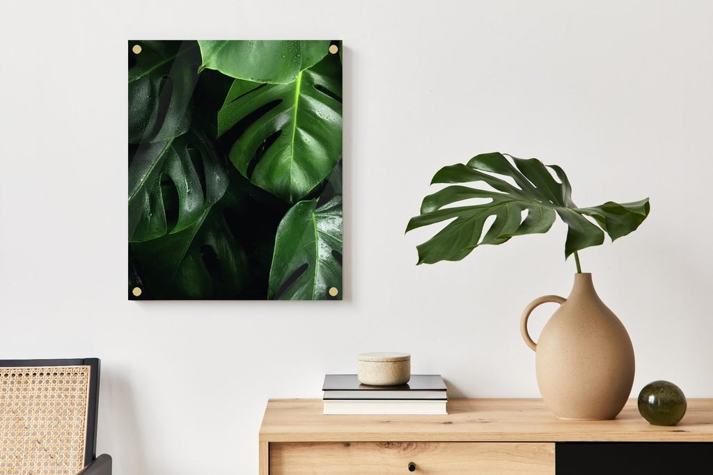 The best acrylic prints created by colorful nature photos.